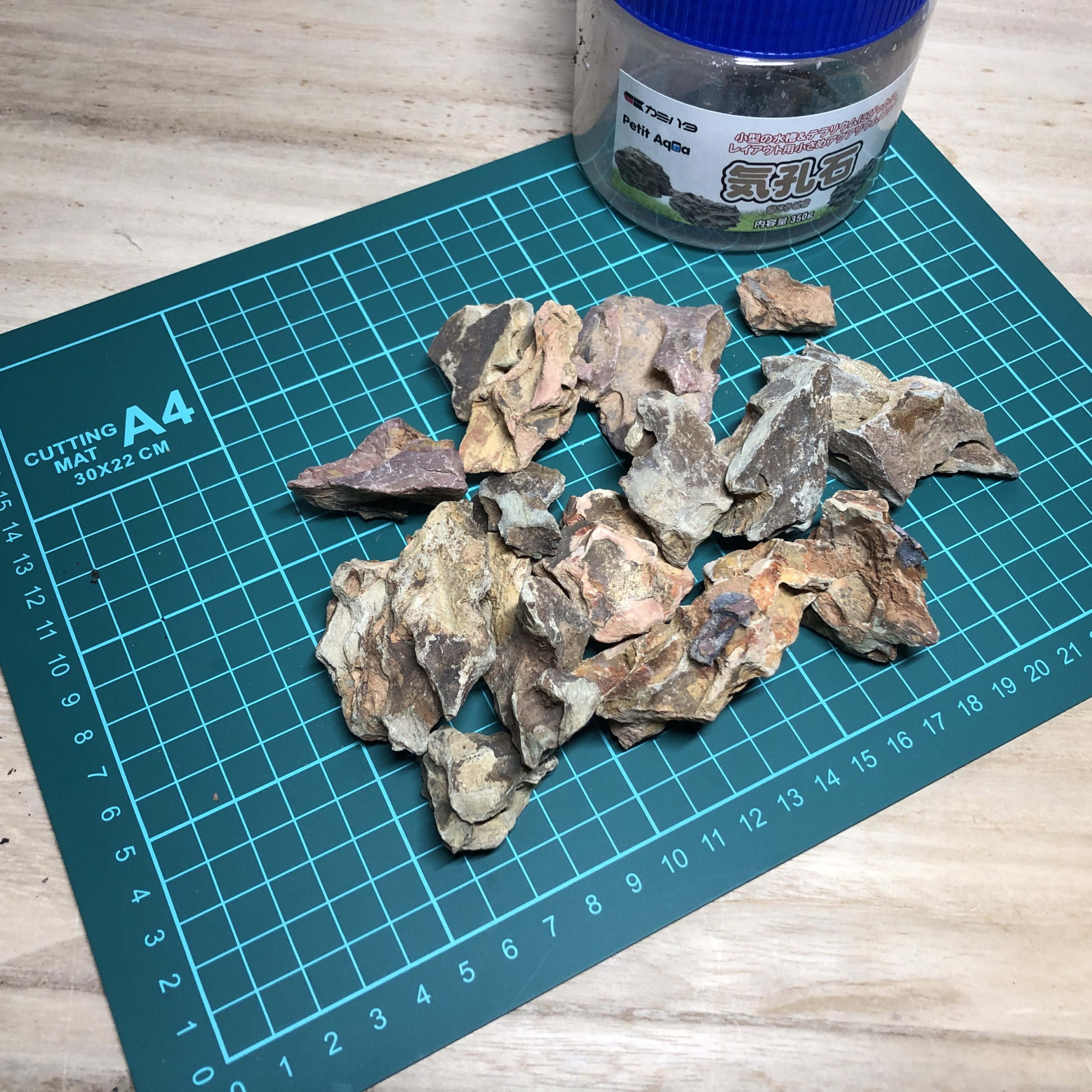 カミハタ プチアクアの石 気孔石