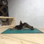 流木は、ネットでセット購入なら若干安くなるけど選べない。。